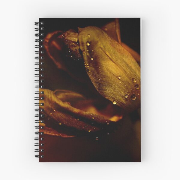 Item preview, tulip designed and sold by paul gavin.