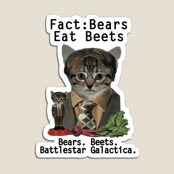 Dwight Cat Schrute Magnet