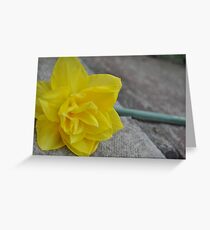 daf Greeting Card
