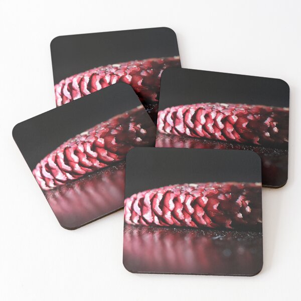 Item preview, Young Pine Cone designed and sold by cuprum.