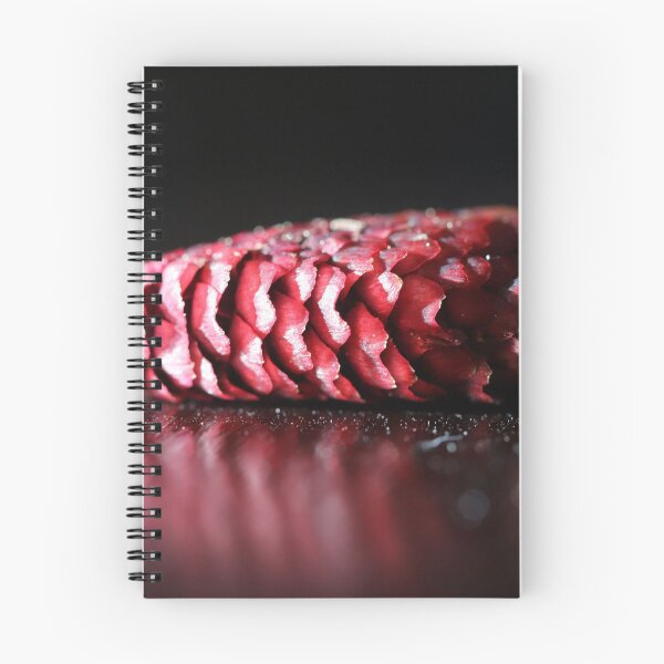 Item preview, Young Pine Cone designed and sold by cuprum.