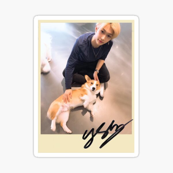 felix + dog polaroid yellow Sticker