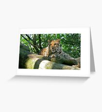 Vantage Point Greeting Card