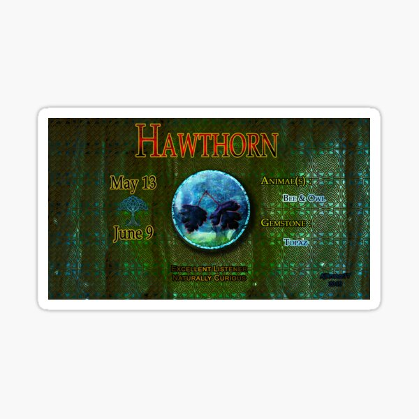 Zo-Disc Hawthorn with background v1 Sticker
