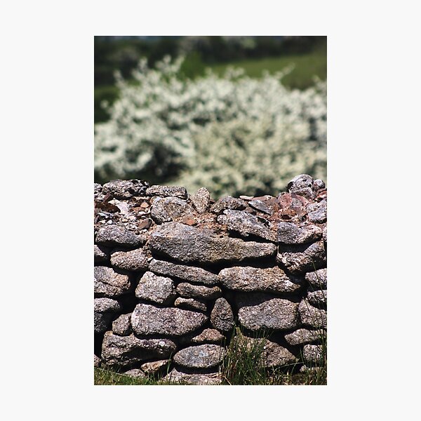 Dry stone wall Photographic Print