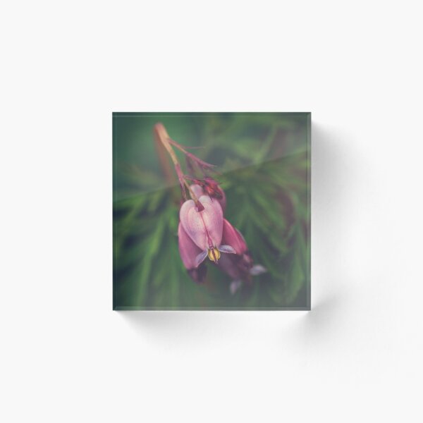 Item preview, Bleeding Heart Blossom Love designed and sold by BobbiFox.