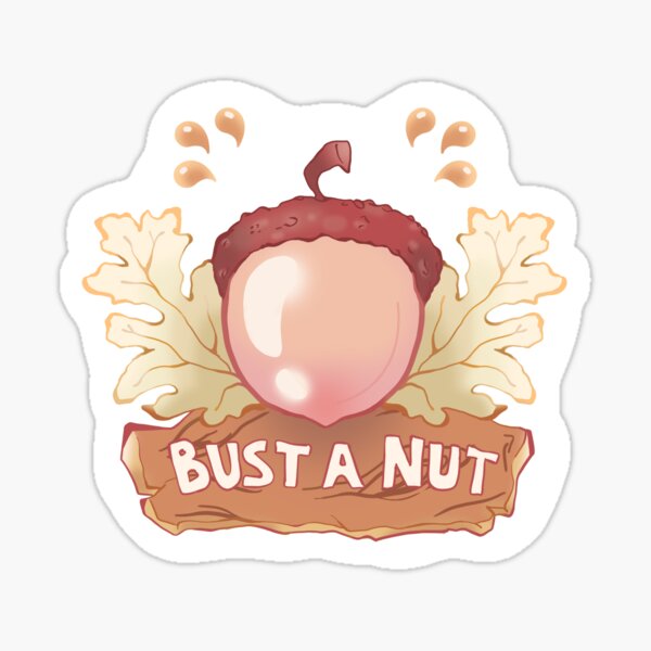 "BUST A NUT pink version" Sticker by drawlikeagirl Redbubble