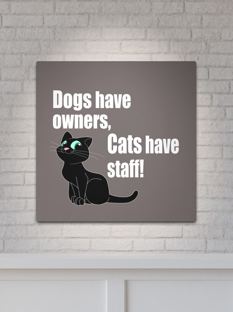 Funny Cat Meme Metal Sign 12x8 Dogs Have Owners Cats Staff Food Ignore Feed  Cute