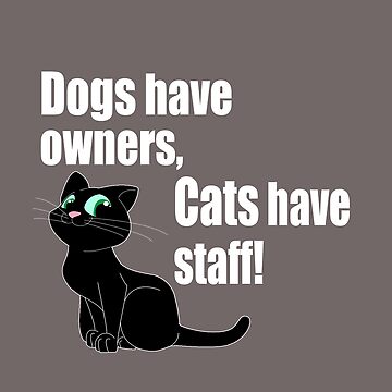 Funny Cat Meme Metal Sign 12x8 Dogs Have Owners Cats Staff Food Ignore Feed  Cute