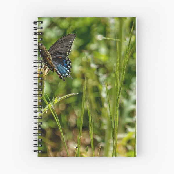 Item preview, Black Swallowtail No. 2 designed and sold by Belinda Greb Photography.