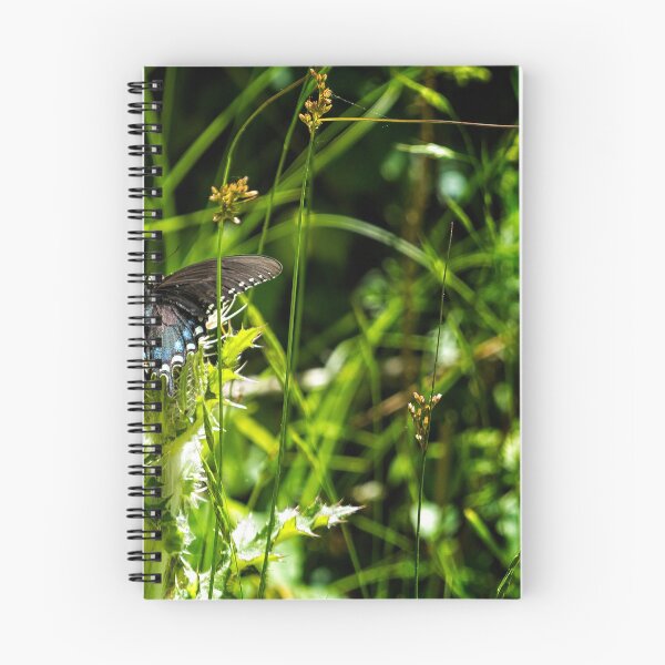 Item preview, Black Swallowtail No. 1 designed and sold by Belinda Greb Photography.