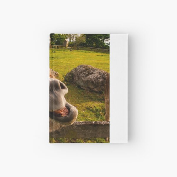 laughing donkey Hardcover Journal