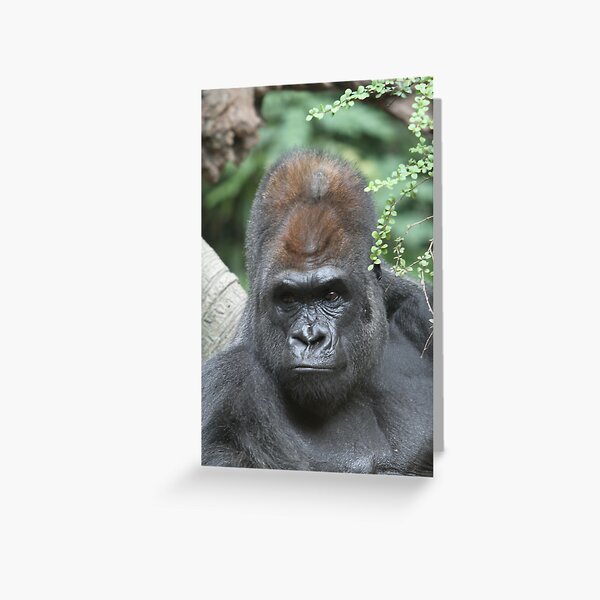 King Kong look alike Greeting Card