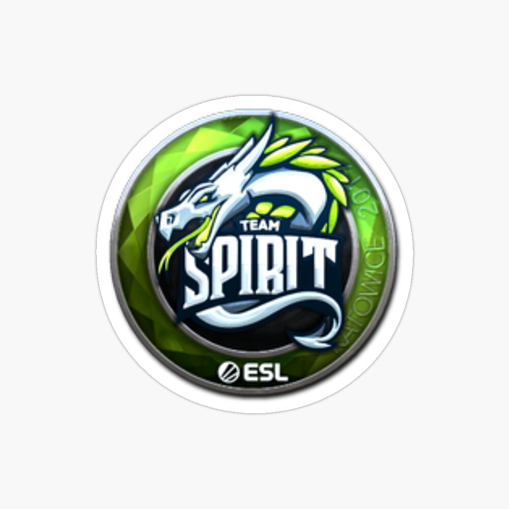 Team Spirit Stickers for Sale