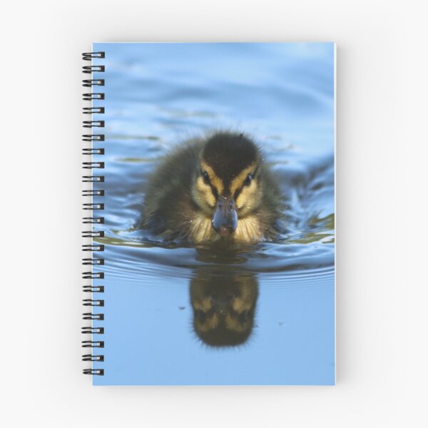 Item preview, Mallard Duckling on Lost Lagoon Lake designed and sold by THurdCreations.