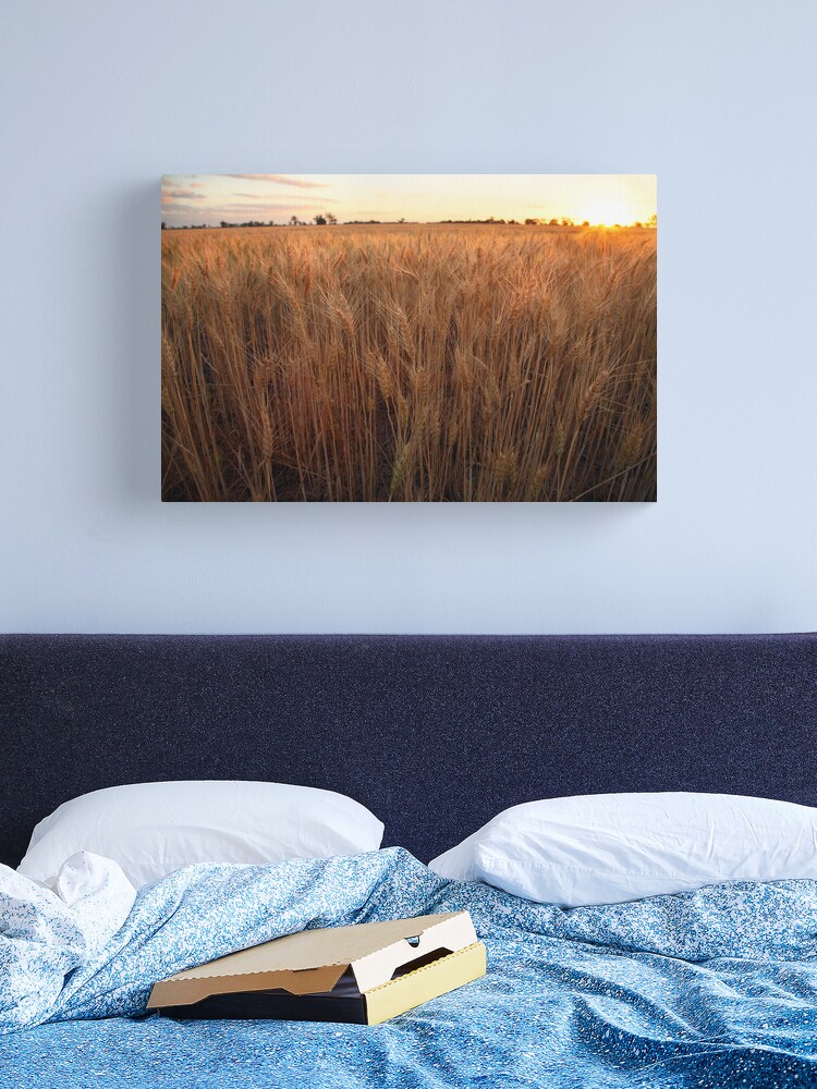 Thumbnail 1 of 3, Canvas Print, Golden Flakes of Wheat, Victoria, Australia designed and sold by Michael Boniwell.