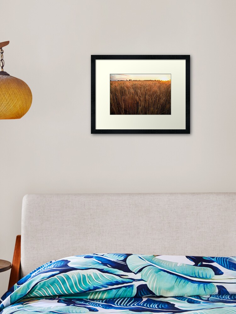 Thumbnail 1 of 7, Framed Art Print, Golden Flakes of Wheat, Victoria, Australia designed and sold by Michael Boniwell.