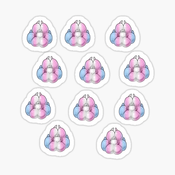 TRANSGENDER PRIDE PAWS Sticker