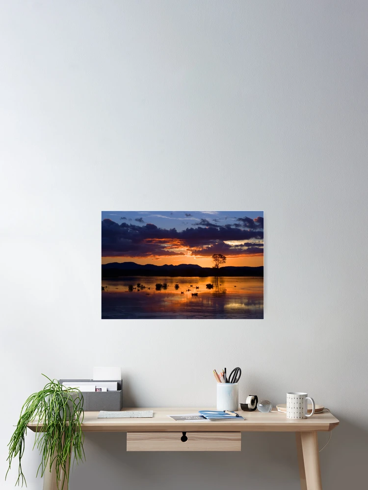 Thumbnail 2 of 3, Poster, Fern Ridge Sunset designed and sold by Randall Ingalls.