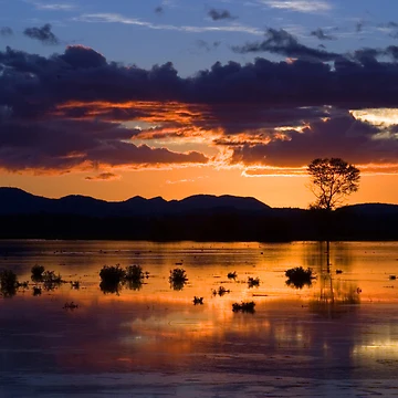 Artwork thumbnail, Fern Ridge Sunset by Randall Ingalls