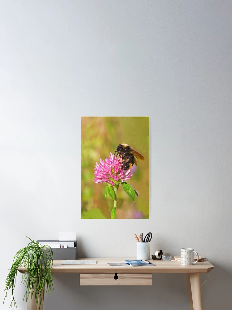 Thumbnail 2 of 3, Poster, Bumble Bee designed and sold by Randall Ingalls.