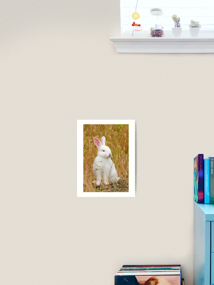 Thumbnail 2 of 3, Art Print, Bunny Rabbit designed and sold by Randall Ingalls.
