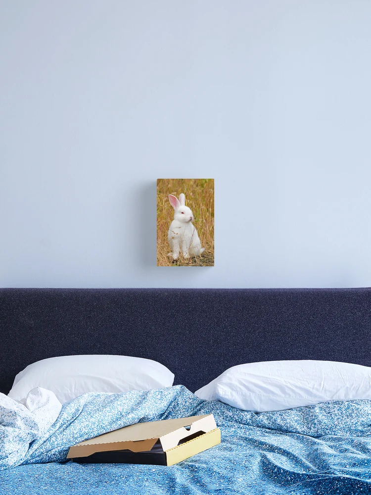 Thumbnail 2 of 3, Canvas Print, Bunny Rabbit designed and sold by Randall Ingalls.