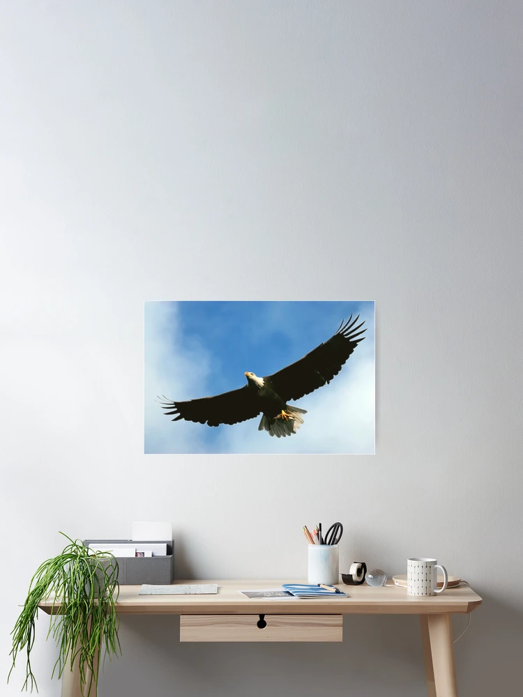 Thumbnail 2 of 3, Poster, Good Catch designed and sold by Randall Ingalls.