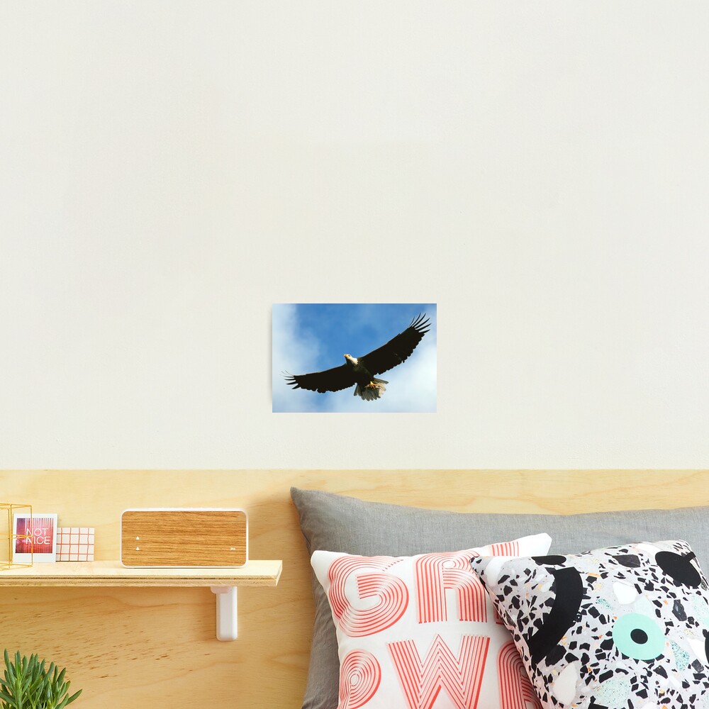 Item preview, Photographic Print designed and sold by Rando.