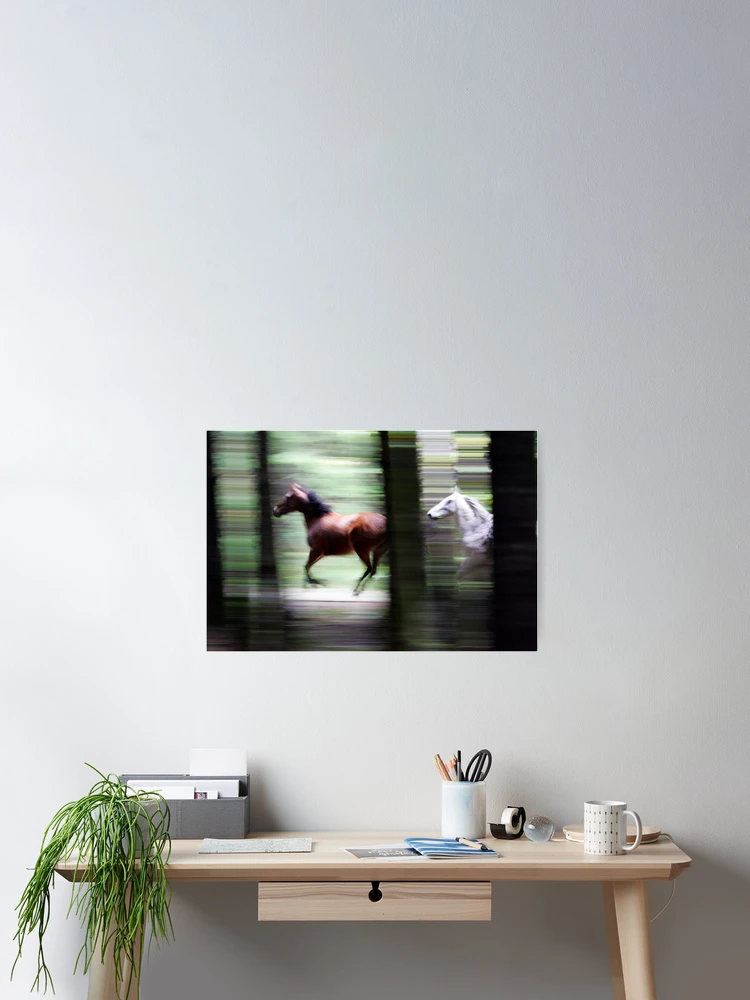 Thumbnail 2 of 3, Poster, Forest Run designed and sold by Randall Ingalls.