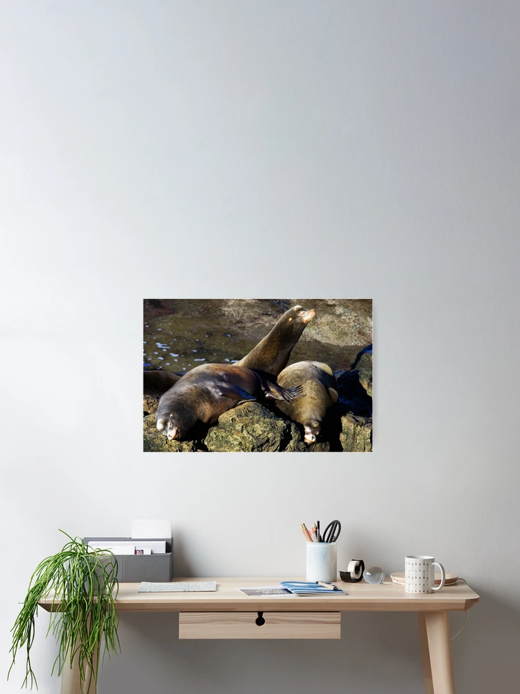 Thumbnail 2 von 3, Poster, Nap Time designt und verkauft von Randall Ingalls.