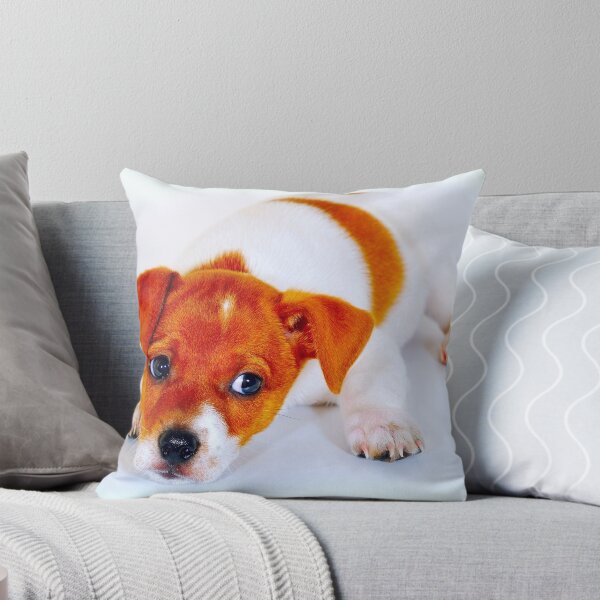Item preview, Chi hua hua cachorro designed and sold by Benjamin Gelman.