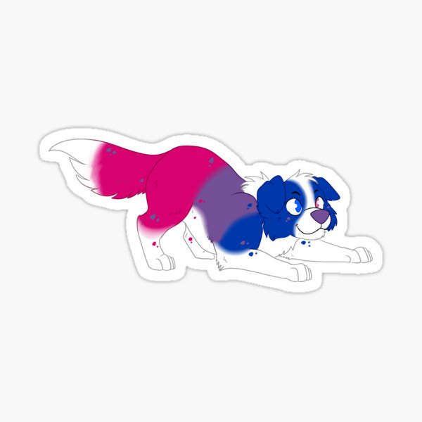 Bisexual Border Collie Sticker