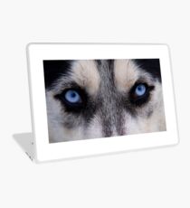 Acute glance Laptop Skin