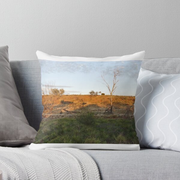 Aperçu de l'œuvre Pilbara Outback Sunrise créée et vendue par Caroline Scott.