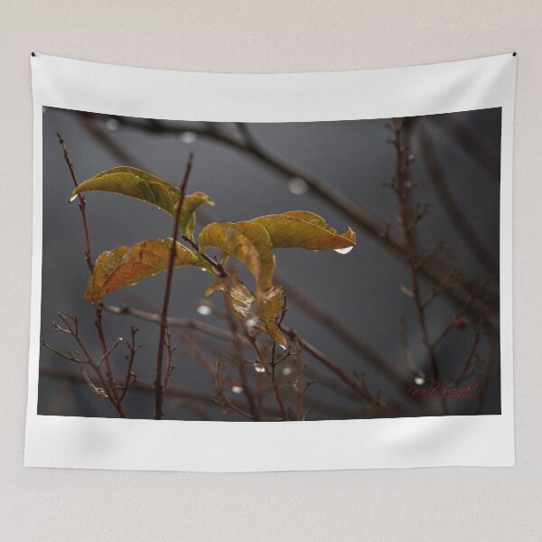 Item preview, The first day of winter in Canberra/ACT/Australia (4) designed and sold by Wolf Sverak Photography.