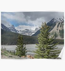 Jasper National Park Poster