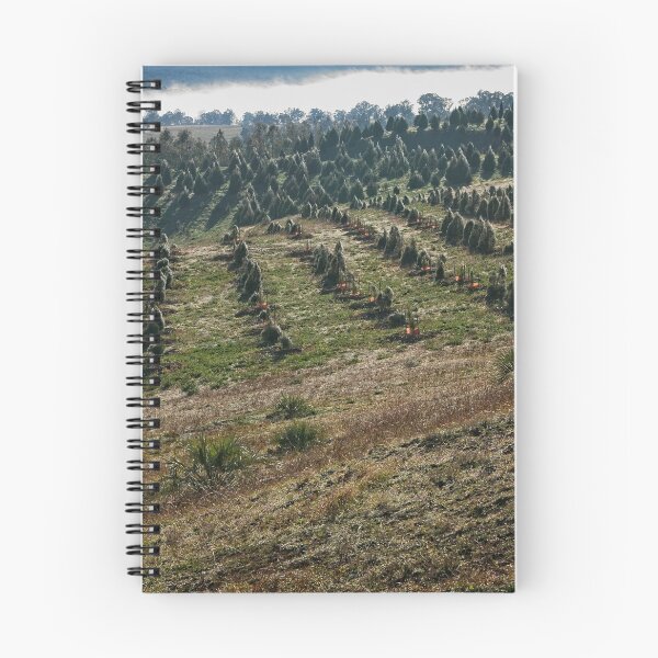 Item preview, The first day of winter in Canberra/ACT/Australia (11) designed and sold by Wolf Sverak Photography.