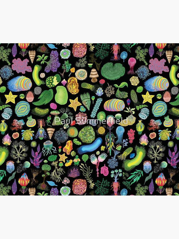 Ocean Slugs & Tasty Cacti by lazykite