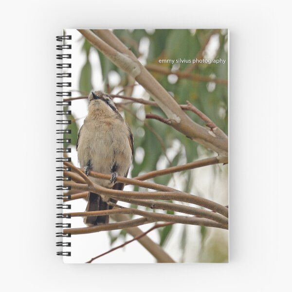 Item preview, Black-eared Cuckoo (0192) designed and sold by Emmy Silvius.