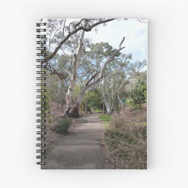 Item preview, The Path Leads Me On! Remnant Native bush park. Foothills, Tea Tree Gully. Sth. Aust. designed and sold by RitaBlom.