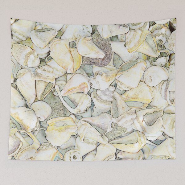 Item preview, Seashells designed and sold by Forestpictures.
