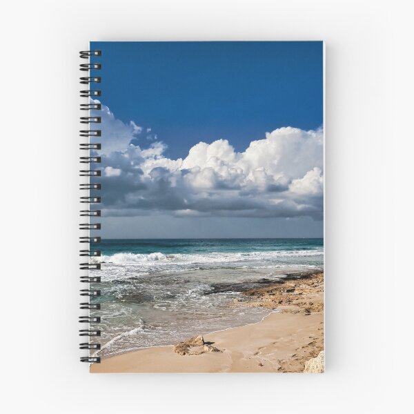 Aperçu de l'œuvre Winter Beach créée et vendue par Benjamin Gelman.