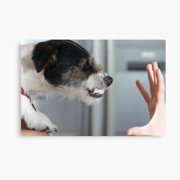 Don't bite the hand that feeds Canvas Print