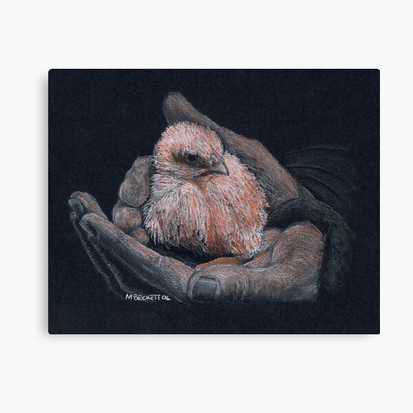 In Good Hands Canvas Print