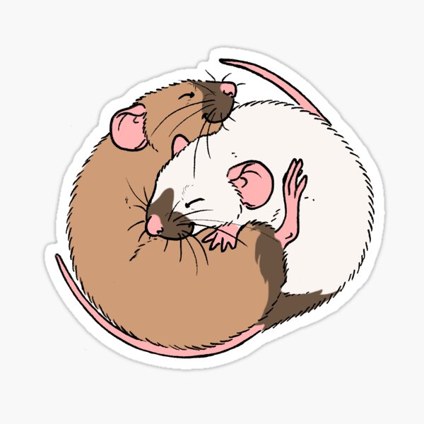 Cuddling Rats Siamese and Burmese Sticker
