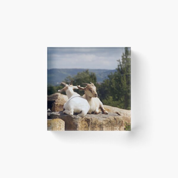 Item preview, mountain goats designed and sold by Yven-Dienst.