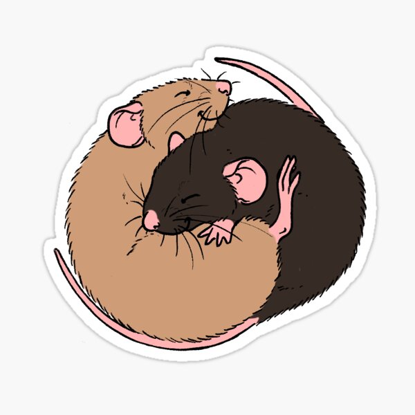 Cuddling Rats Agouti and Black Sticker