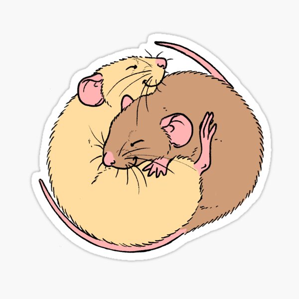 Cuddling Rats Agouti and Topaz Sticker