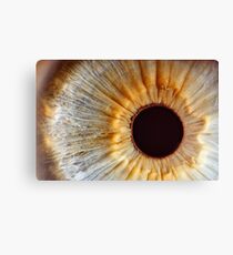 Galaxy eye Canvas Print